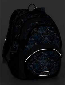 BAGMASTER Plecak Szkolny Theory 20 A dwukomorowy 8