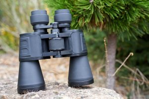 Lornetka Focus Bright 12x50 12