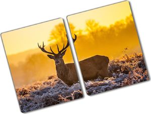 Deska do krojenia Tulup szklana 52x2szt. 1