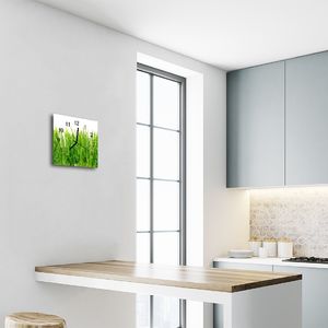 Tulup Zegar szklany ścienny Cichy Trawa Gras 4