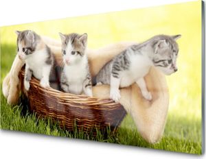 Tulup Obraz Akrylowy Koty Zwierzęta 1