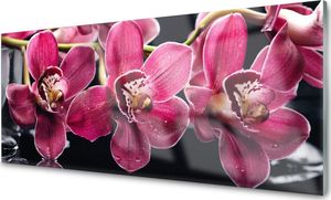 Tulup Obraz na Szkle Kwiaty Orchidea Pędy Natura 125x50 cm - 77052453 1