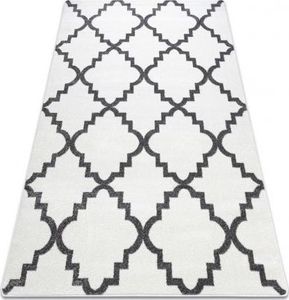 Dywany Łuszczów Dywan SKETCH - F343 biało/szara koniczyna marokańska trellis, 120x170 cm 1