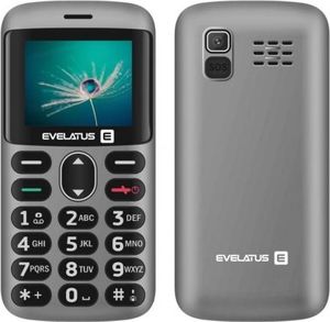 Telefon komórkowy Evelatus Aron 2020 Dual SIM Srebrny 2