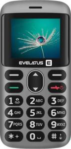 Telefon komórkowy Evelatus Aron 2020 Dual SIM Srebrny 1