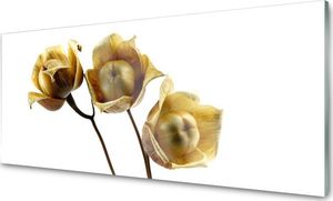Tulup Obraz na Szkle Szklany Kwiaty Roślina 125x50 cm - 24971415 1
