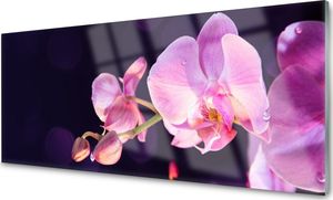 Tulup Obraz na Szkle Szklany Kwiaty Roślina 125x50 cm - 225310297 1