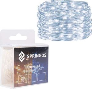 Lampki choinkowe Springos 20 LED białe zimne 1