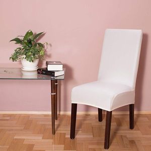 Springos Pokrowiec na krzesło uniwersalny beżowy UNIWERSALNY 10