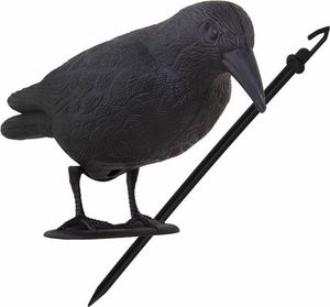 Springos Odstraszacz ptaków 11x39x18,5cm stojący kruk czarny UNIWERSALNY 1