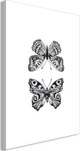 Artgeist Obraz - Dwa motyle (1-częściowy) pionowy uniwersalny 1