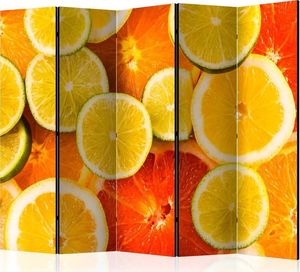 Artgeist Parawan 5-częściowy - Citrus fruits II [Room Dividers] uniwersalny 1