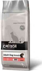 Lincoln Calista Łosoś Adult Dog 3 kg 1