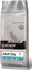 Lincoln Calista Adult Dog 3 kg 1