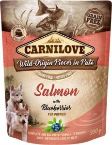 Carnilove Brit Carnilove Salmon Blueberries Łosoś Jagody Bezzbożowa dla Szczeniąt 300 g 1