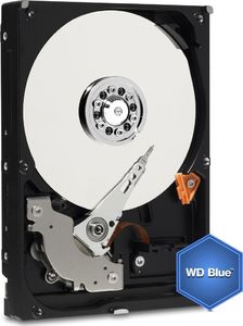 Dysk WD Caviar 1TB 3.5" SATA III (WD10EZEX_3M) 10