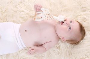 Sophie la Girafe Żyrafa Sophie w pudełku SoPure Sophie La Giraffe 3