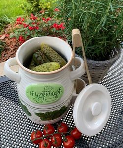 Alpenburg SŁÓJ CERAMICZNY DO OGÓRKÓW 2L+ SZCZYPCE 4