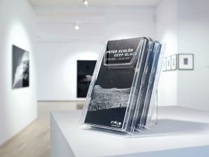 Durable Półki na ulotki 1/3 A4 COMBIBOXX (8599-19) 4