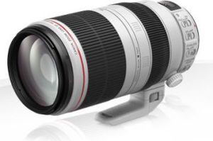 Obiektyw Canon Canon EF 100-400 mm F/4.5 L IS II USM 4