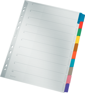 Leitz Przekładka kartonowa A4/10 (43210000) 2