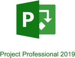 Program Microsoft Microsoft Project Professional 2019 PL 1