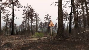 Spintires: Chernobyl Bundle PC, wersja cyfrowa 10