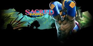 Sacred Citadel PC, wersja cyfrowa 8