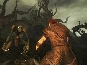 Risen PC, wersja cyfrowa 12