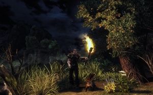 Risen PC, wersja cyfrowa 17