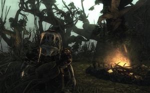 Risen PC, wersja cyfrowa 22