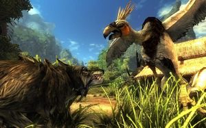 Risen PC, wersja cyfrowa 8