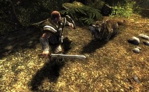 Risen PC, wersja cyfrowa 11