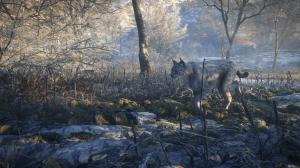 TheHunter: Call of the Wild - 2019 Edition Xbox One 11