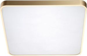 Lampa sufitowa Zumaline Plafon aluminiowy Zumaline SIERRA LED 12100005-GD 1