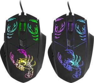 Tracer Stir  (TRAKLA46710) 4