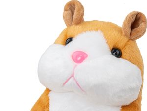 EricoKids Wielki Gigant Gadający Interaktywny Chomik pomarańczowy 6