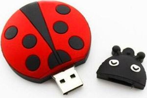 Pendrive Dr. Memory 8 GB 2