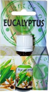 Admit Z - Olejek zapachowy EUCALYPTUS 10ml EUKALIPTUS 1
