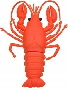 Pendrive Dr. Memory 64 GB 2