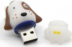 Pendrive Dr. Memory 16 GB 3