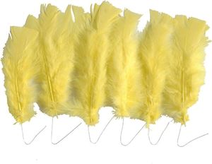 Creativ Company Pióra w kępkach żółte L: 11-17cm 18 szt. 1