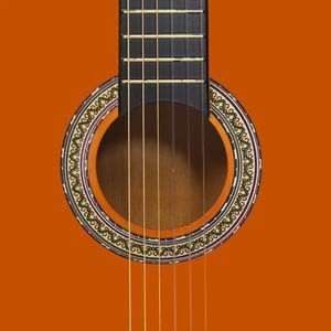 vidaXL Gitara klasyczna dla początkujących, 4/4 39, drewno lipowe 2