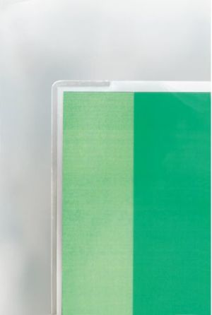 GBC Folia Document Pouch A3 2x100 mic (3740307) 2