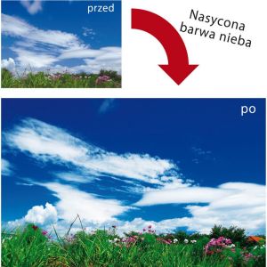 Filtr Marumi DHG Circular PL 37mm - (MCPL37 DHG) 3