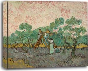 galeria plakatu Women Picking Olives, Vincent van Gogh - obraz na płótnie 1