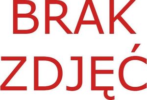 Spin Master Psi Patrol Marshall maskotka pluszowa 60 cm uniwersalny 3