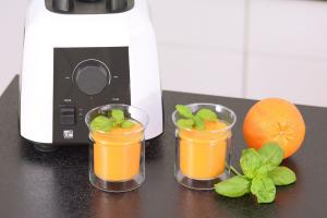 Blender kielichowy G21 Perfection 600870 biały 15