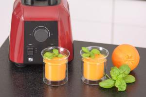 Blender kielichowy G21 Perfection 600871 czerwony 19