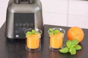 Blender kielichowy G21 Excellent 600882 czarny 16